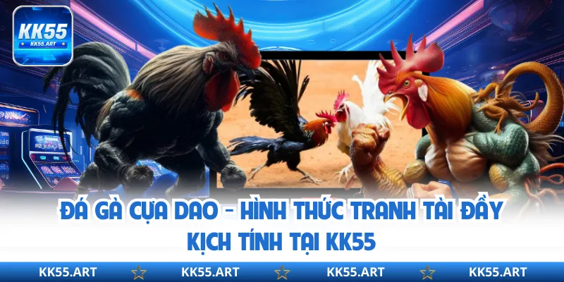 Đá Gà Cựa Dao - Hình Thức Tranh Tài Đầy Kịch Tính Tại KK55