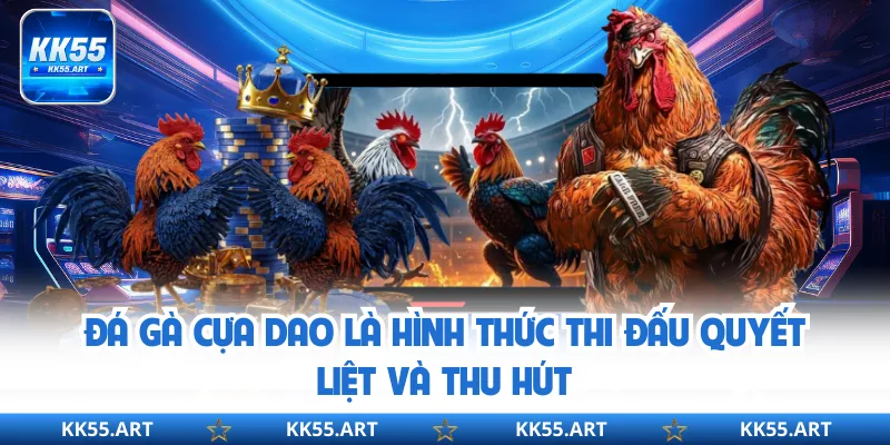 Đá gà cựa dao là hình thức thi đấu quyết liệt và thu hút
