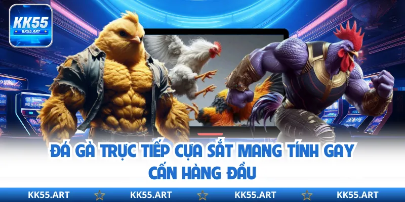 Đá gà trực tiếp cựa sắt mang tính gay cấn hàng đầu