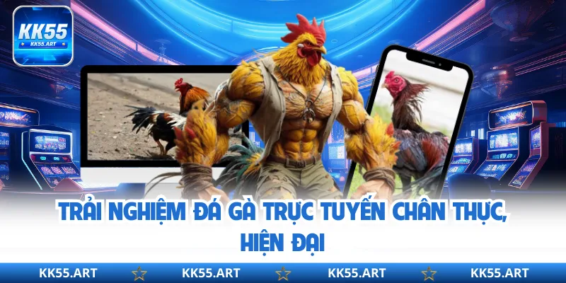 Trải nghiệm đá gà trực tuyến chân thực, hiện đại